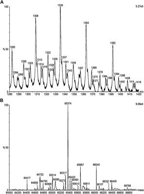 Molecular Architecture of the Antiophidic Protein DM64 and its Binding Specificity to Myotoxin II From Bothrops asper Venom